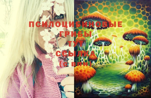 таблы Алзамай