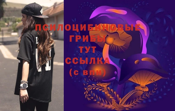 не бодяженный Алексин