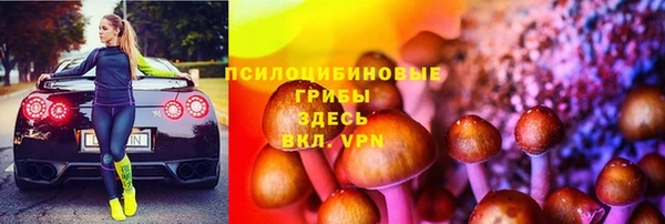 не бодяженный Алексин