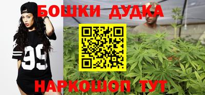 спиды Обь