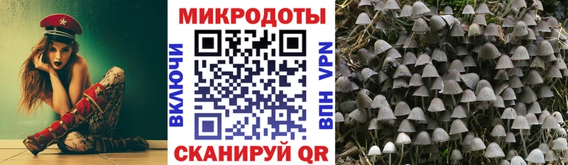 Галлюциногенные грибы ЛСД mega рабочий сайт Тайшет