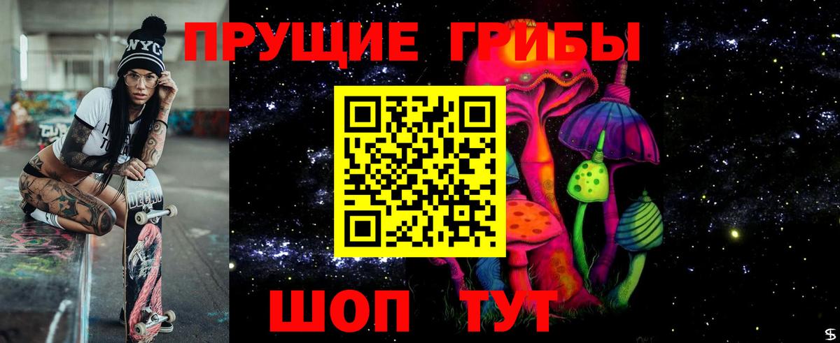 как найти закладки  Псилоцибиновые грибы ЛСД  Вход с VPN  Тайшет 