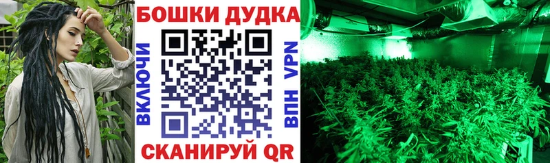Конопля MAZAR  закладка  Тайшет 